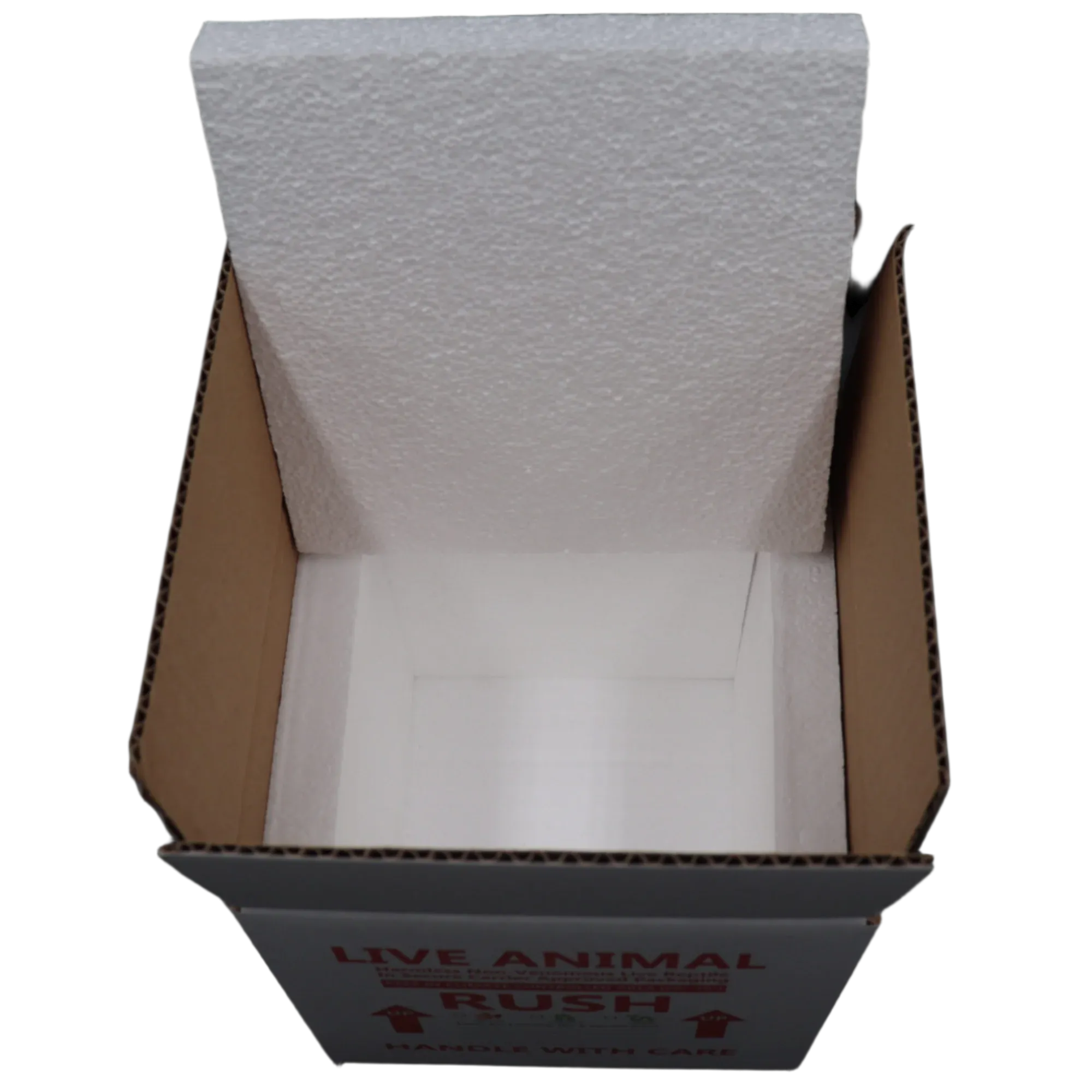 7x7x7 Insulated Shipping Boxes