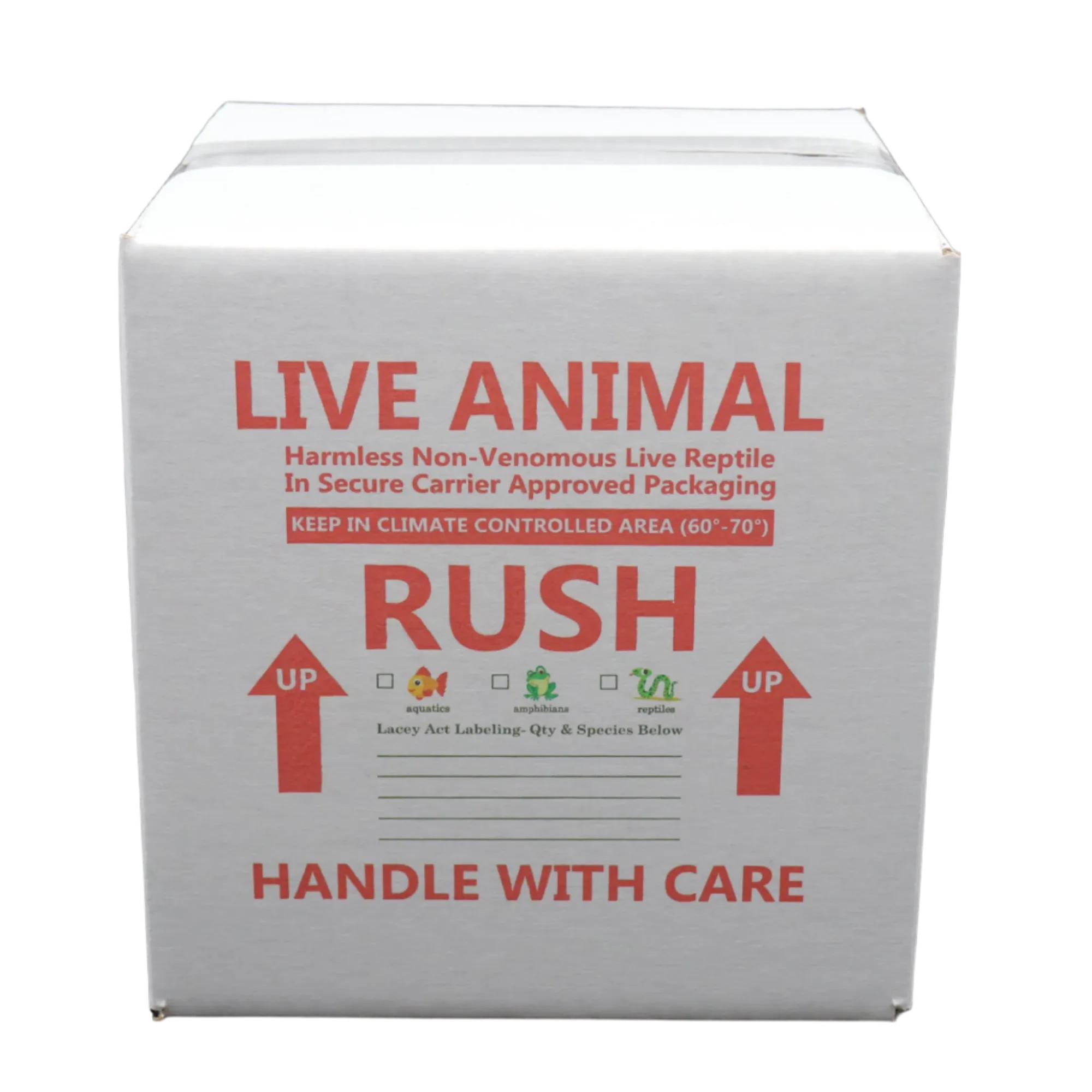 7x7x7 Insulated Shipping Boxes