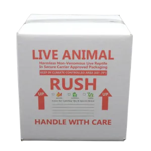 9x9x9 Insulated Shipping Boxes