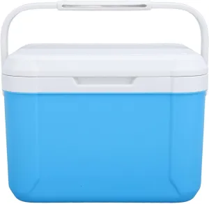 Asixxsix 5L Insulated Portable Cooler, Hard Cooler with Heavy Duty Handle & 6 Ice Pack, Portable Hard Cooler Box Ice Cooler for Beach, Picnic, Camping, Tailgating, Drink Beverage