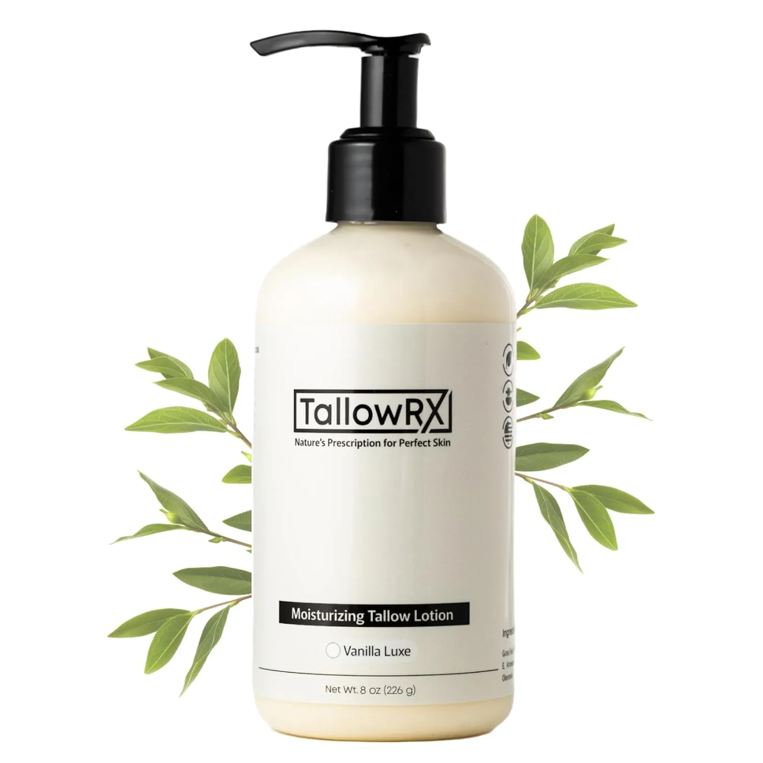 Beef Tallow Lotion for Skin, Face & Body – Luxurious Moisturizer with Grass Fed Tallow, Organic Aloe, Vitamin E & Arrowroot (8 oz, Vanilla)
