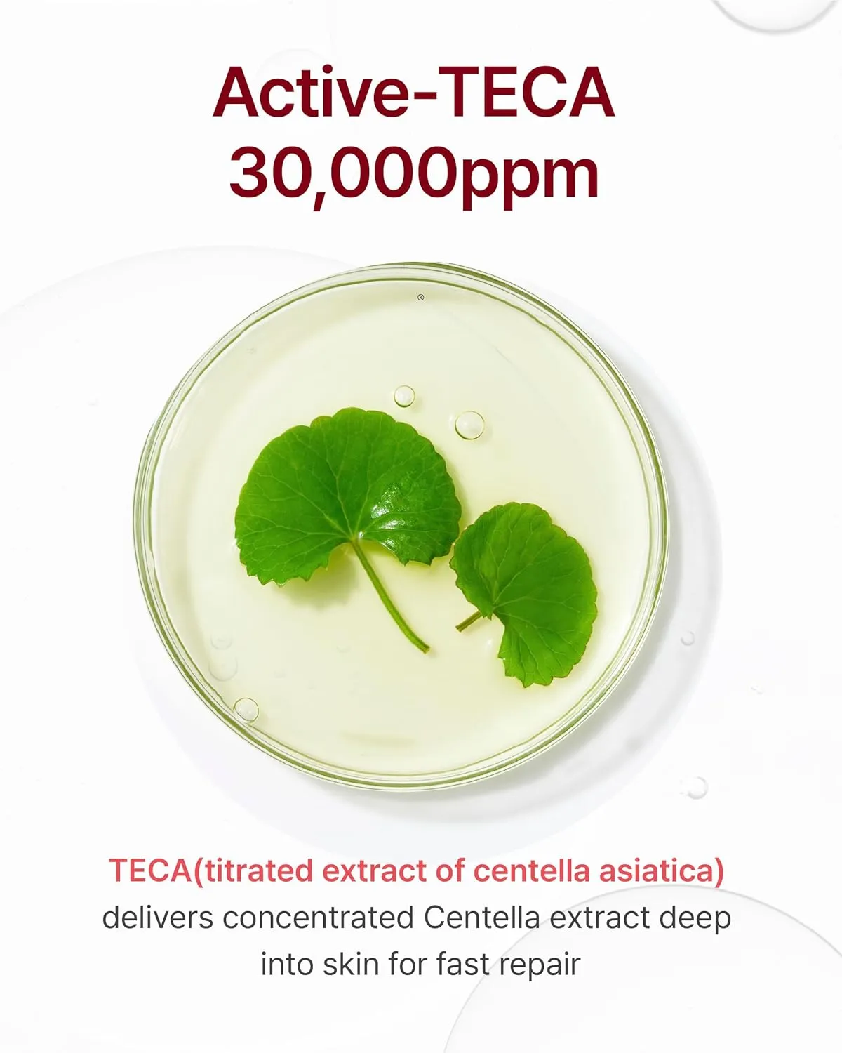 CENTELLIAN 24 Madeca Cream Time Reverse (Season 7) (1.69fl oz, Pack of 2) - Advanced Fast-Absorbing & Nourishing Cream, Hydrates, Reduces Wrinkles, Low Irritation, Korean Skin Care. Centella Asiatica