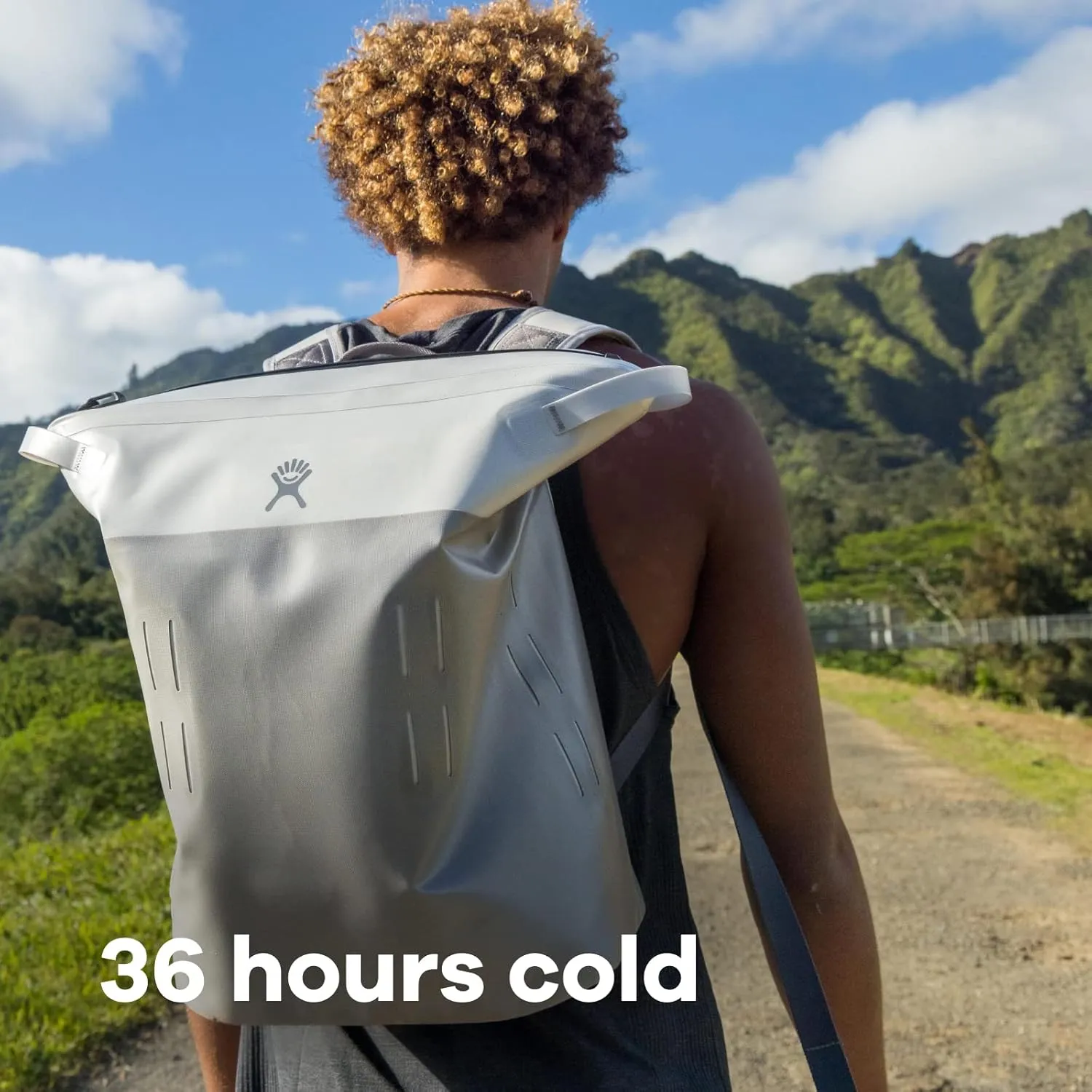Hydro Flask 20 L Day Escape Soft Cooler - Reusable Travel Backpack - Insulated - Peppercorn