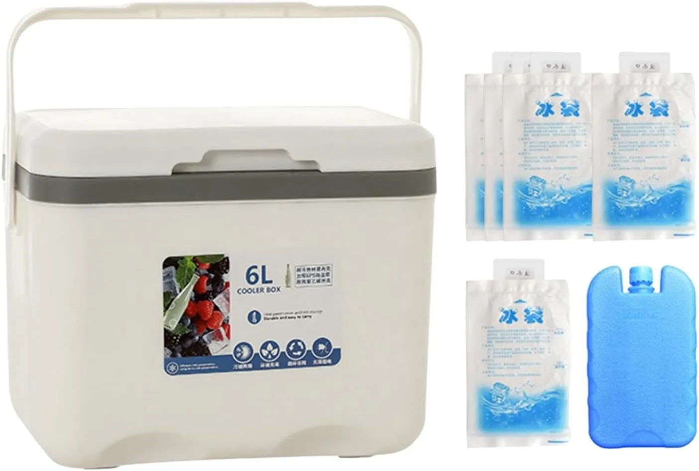 Insulated Cooler, Ice Box Chest, Personal 6 L Portable Cold Case with Ice Pack for Camping Hiking Barbecue Sport Drink Yard