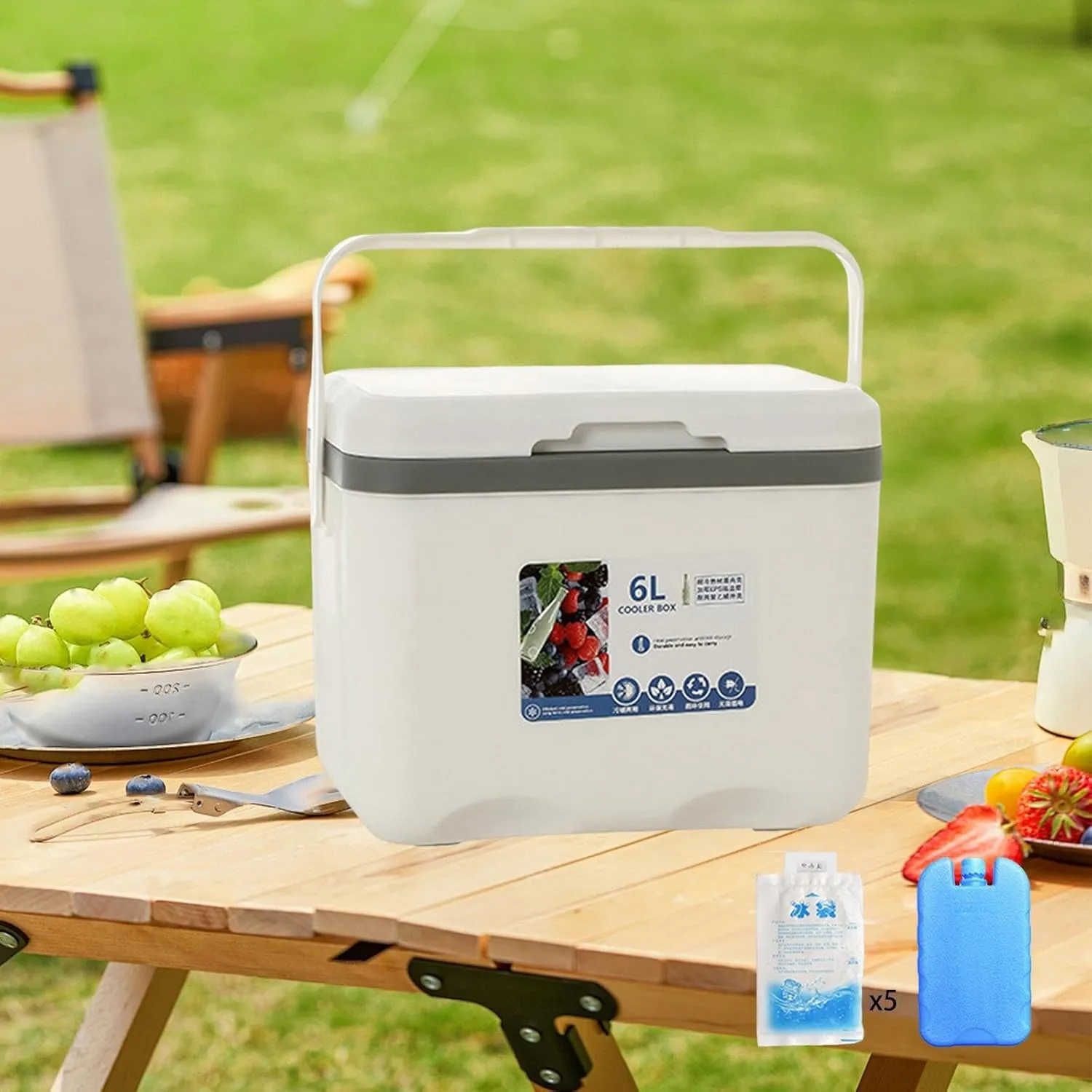 Insulated Cooler, Ice Box Chest, Personal 6 L Portable Cold Case with Ice Pack for Camping Hiking Barbecue Sport Drink Yard