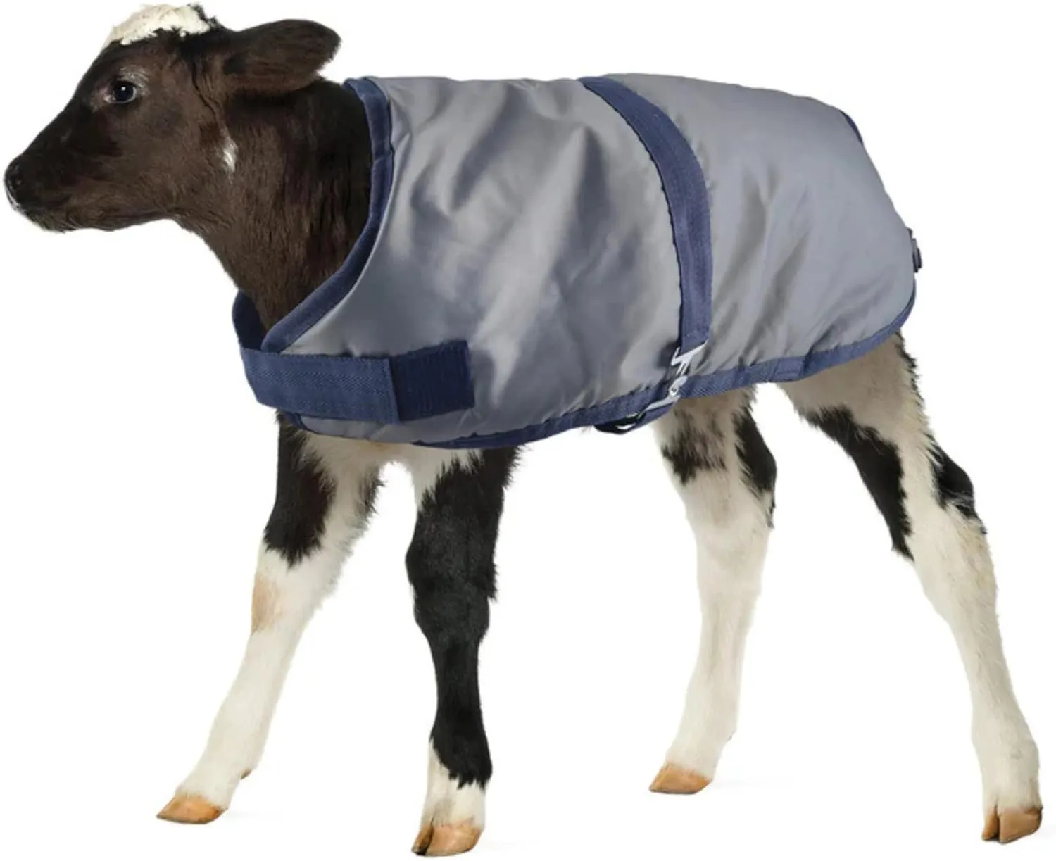 Jeffers Livestock Insulated Calf Blanket, Grey Navy, 1 Pack - 600Denier, 350G Polyfill, Winter Warm Clothes for Calf, Water Proof, Windproof Warming Blanket, Jacket, Coat - Thickened Belly Protection