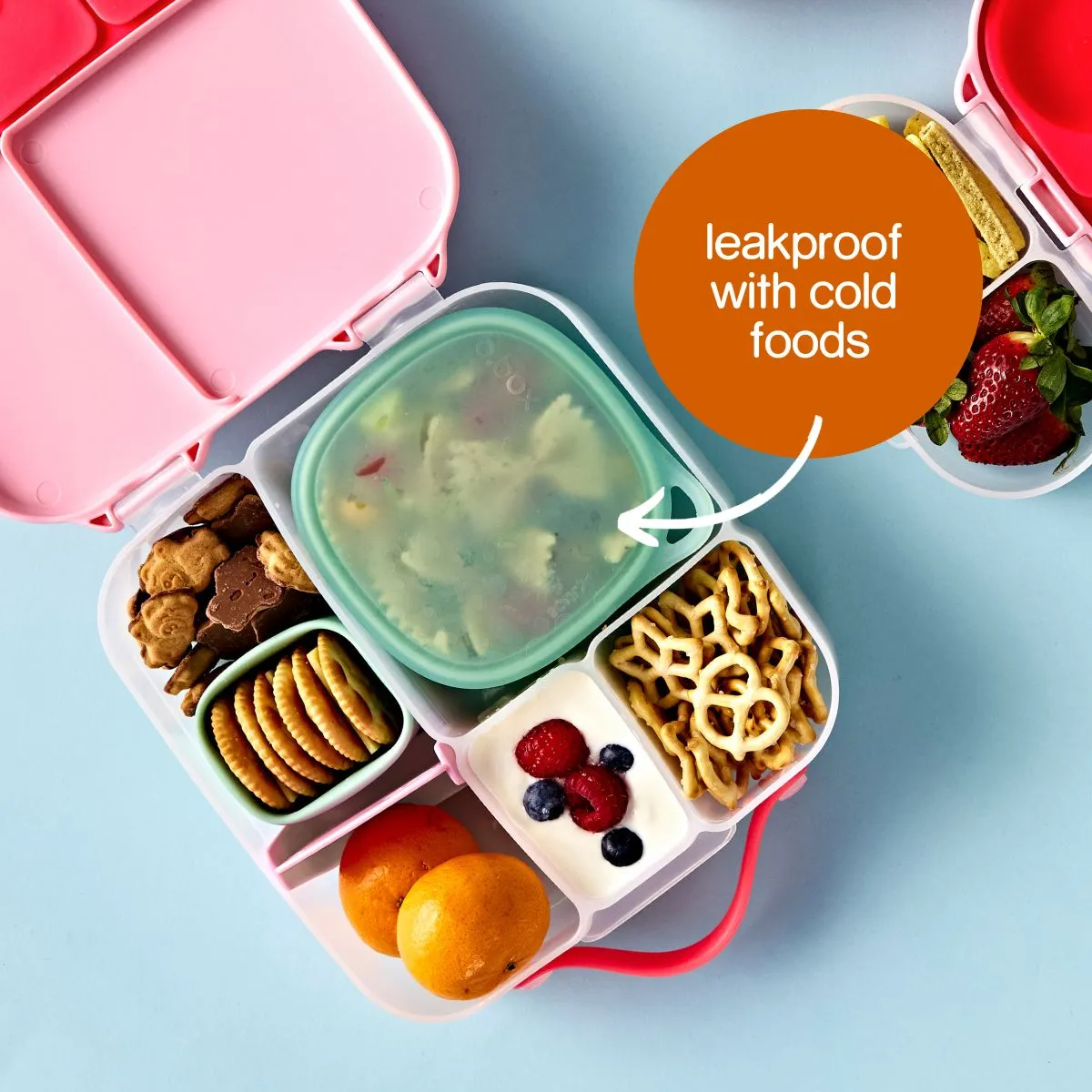 lunch tub - forest