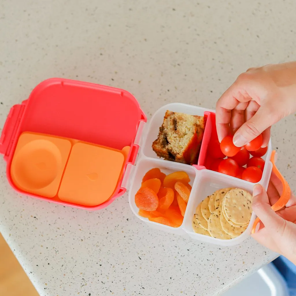 mini Lunchbox - ocean breeze