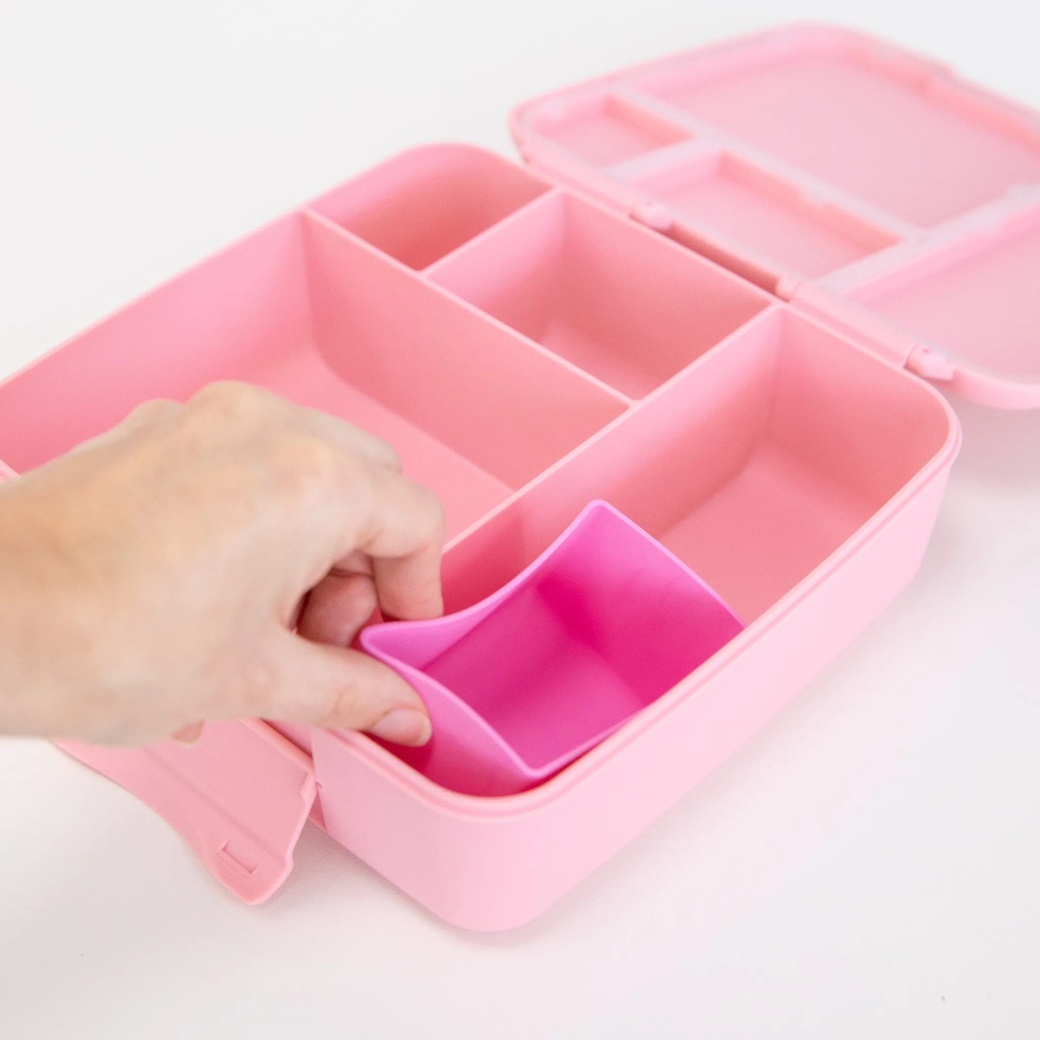 MontiiCo | Feast Bento