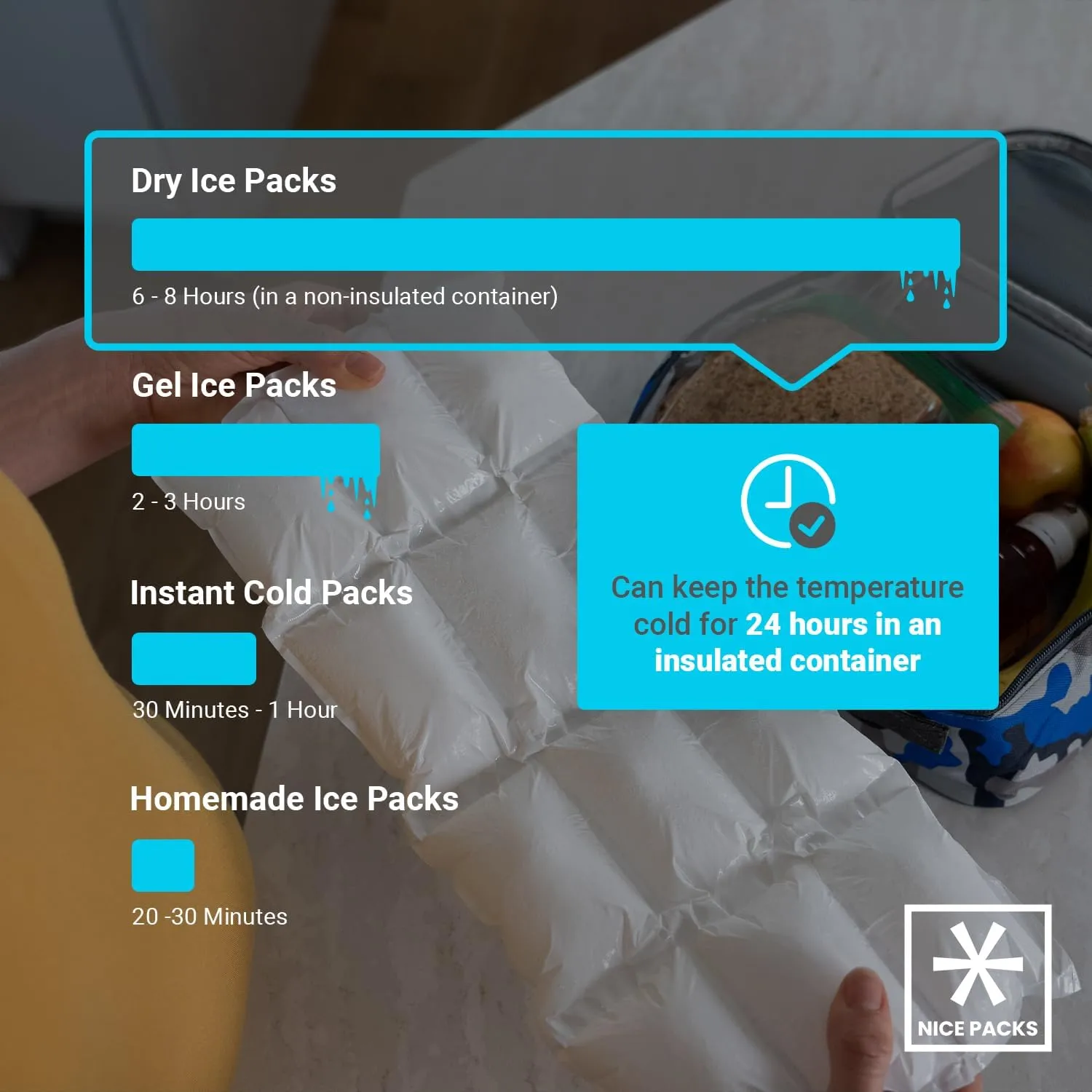Nice Packs Reusable Dry Ice Packs for Shipping Frozen Food, Coolers, Lunch Boxes - Flexible and Long Lasting (10 Mini Sheets)