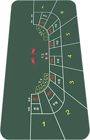 nuveti 47 x 24Inch Poker Mat Poker Table Top, Portable Texas Hold'em Poker Table Topper, Foldable Poker Table Tops Non-Slip Rubber Bottom for Card Games, Blackjack
