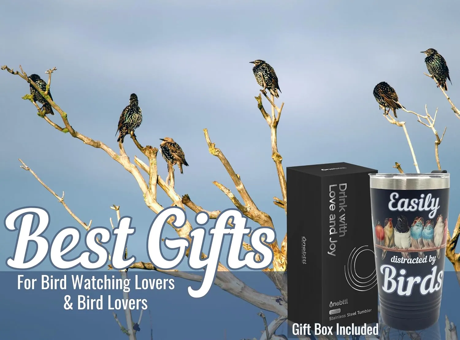 Onebttl Bird Watching Tumbler, 20oz Stainless Steel Insulated with Lid & Straw, Gift Card & Box Included, Perfect for Bird Lovers & Watchers, Birthday Gift - 360 Black