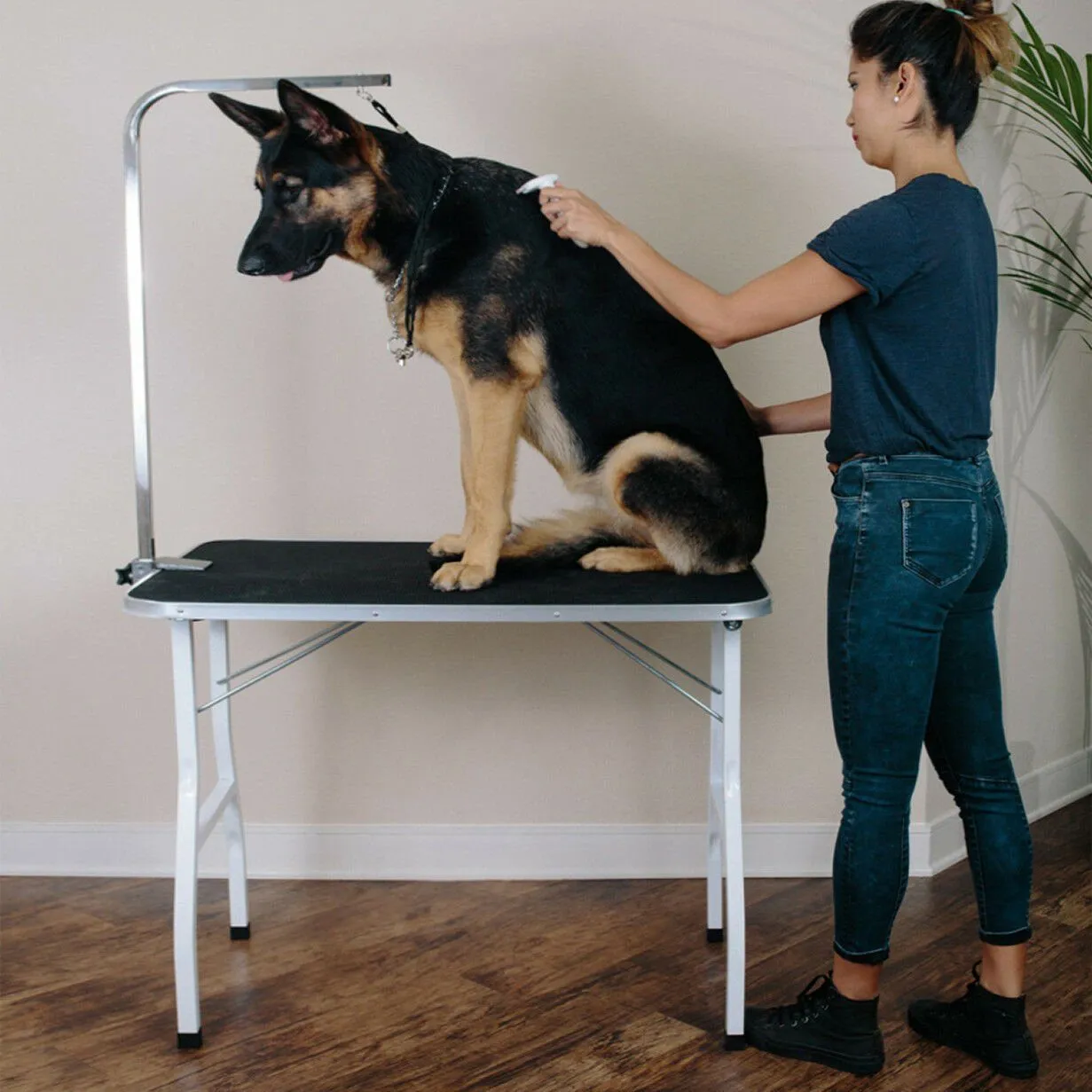 Oxgord 36" Pet Grooming Foldable Table
