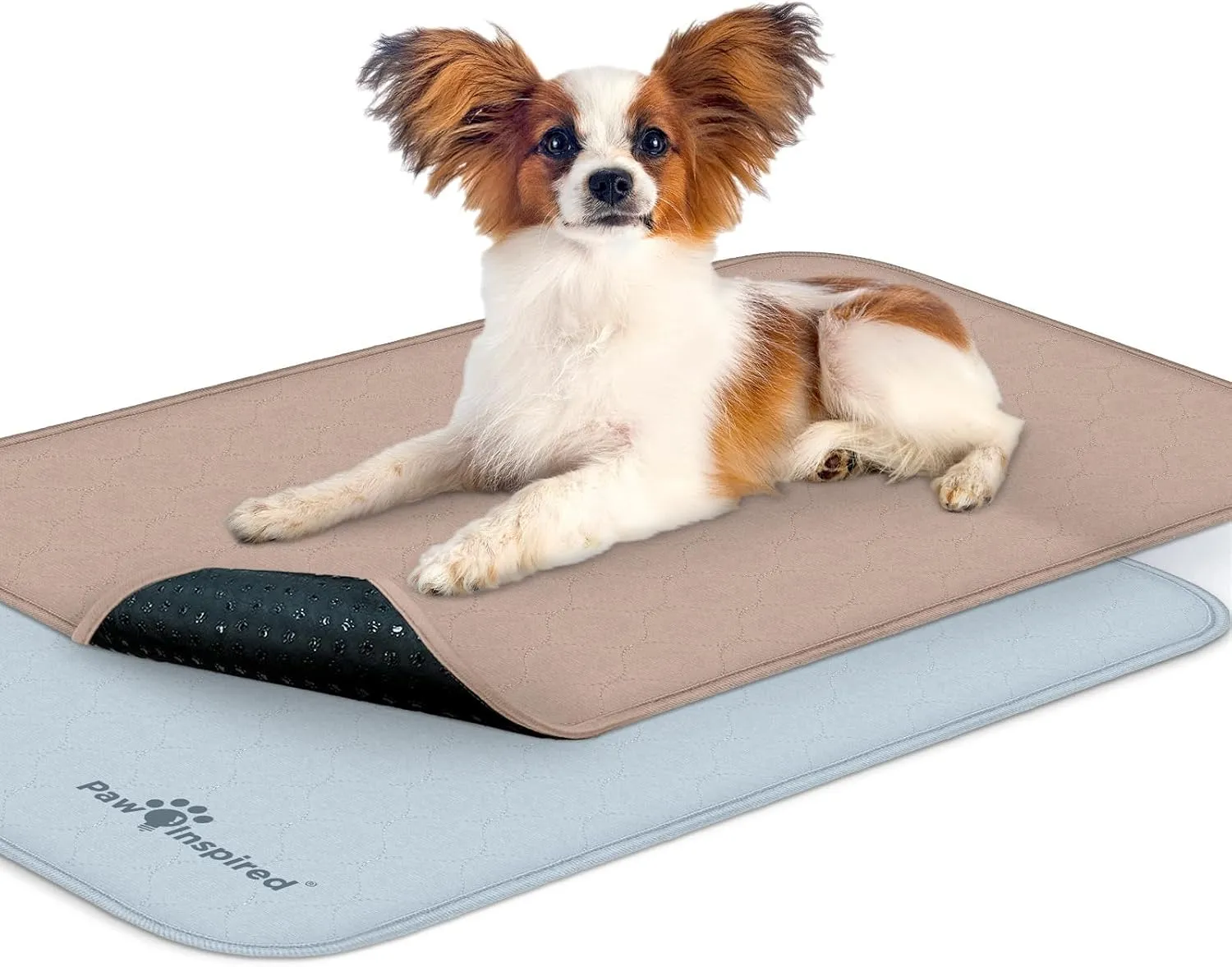 Paw Inspired Washable Crate Liners for Dogs (2 Pack) | Leakproof, Non-Slip Pee Pads for 30-Inch Kennels | Reusable Puppy Pads for Potty Training, Whelping, Waterproof Mat (29"x18" Size, Pack of 2)