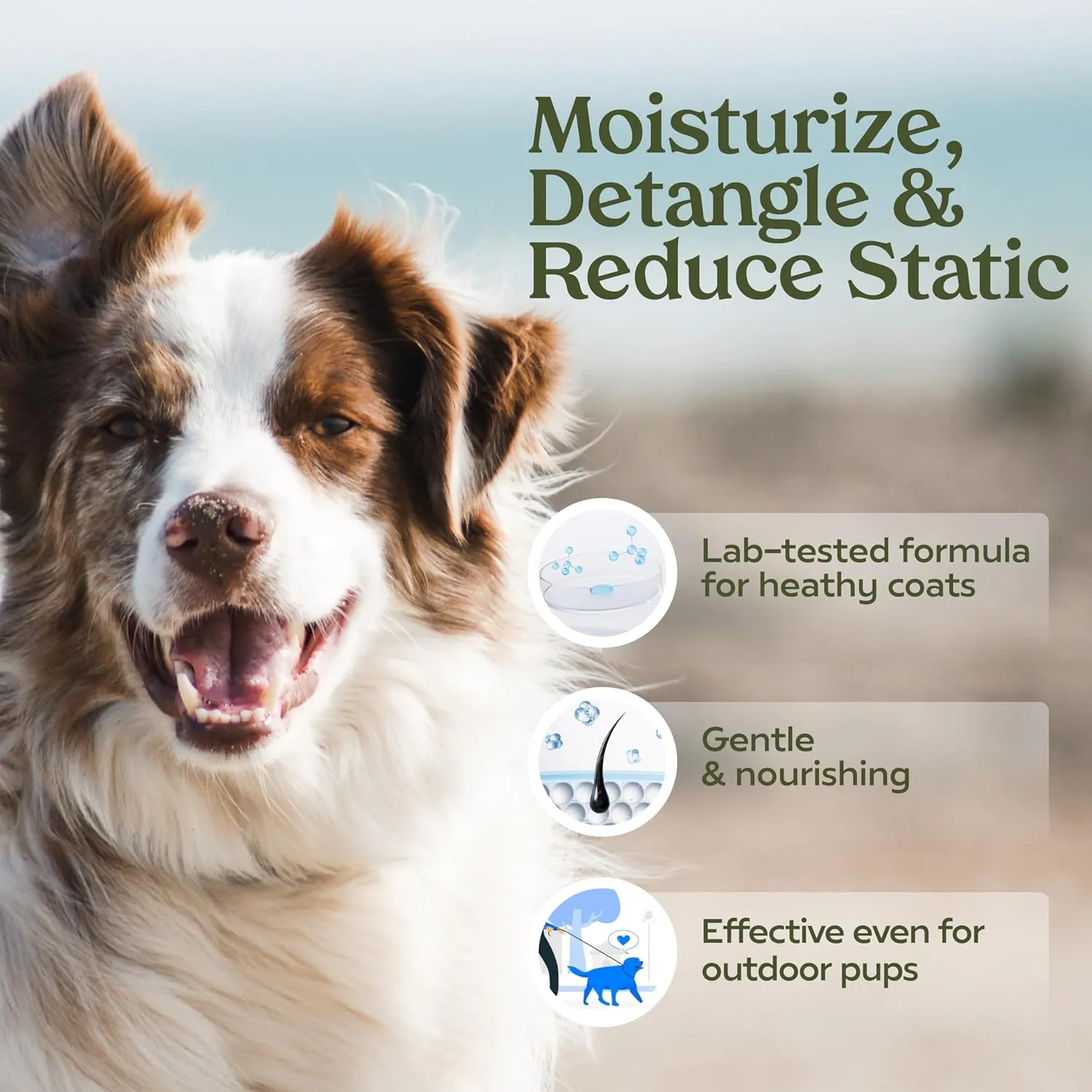 PAWFUME Dog Perfume Spray for Grooming, Blue Ribbon, 2-Pack – Keep Your Pup Fresh All Day – Probiotic, Alcohol-Free, Detangling & Moisturizing – Salon-Quality Dog Spray Deodorizer Perfume