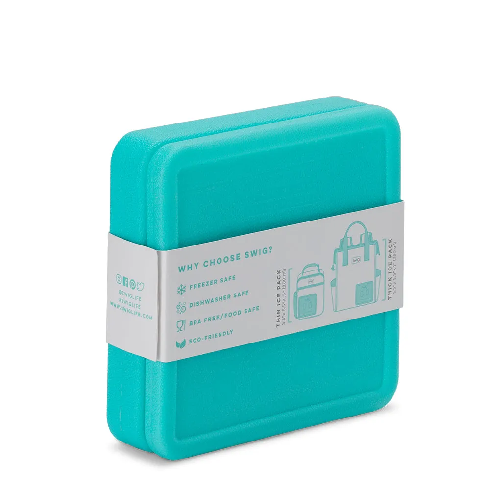 PLASTIC ICE PACK (SET OF 2)