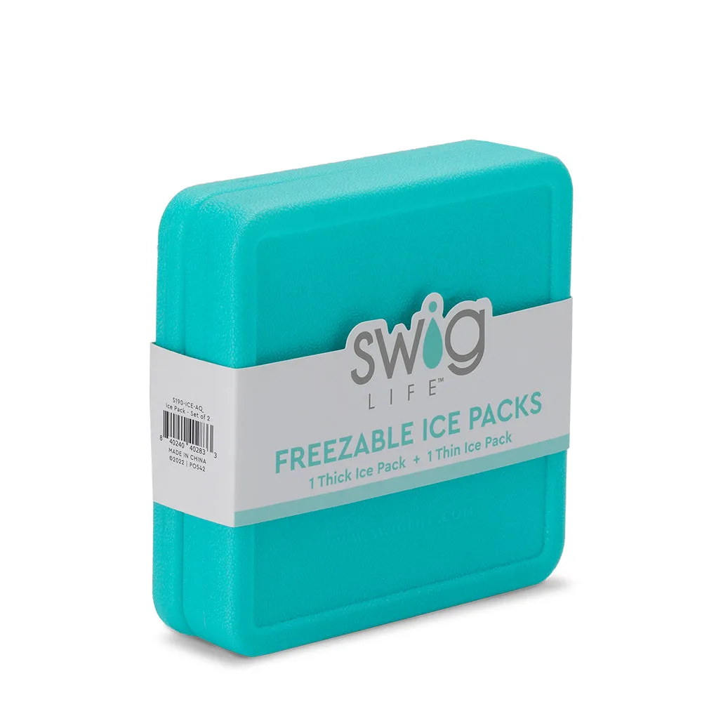 PLASTIC ICE PACK (SET OF 2)