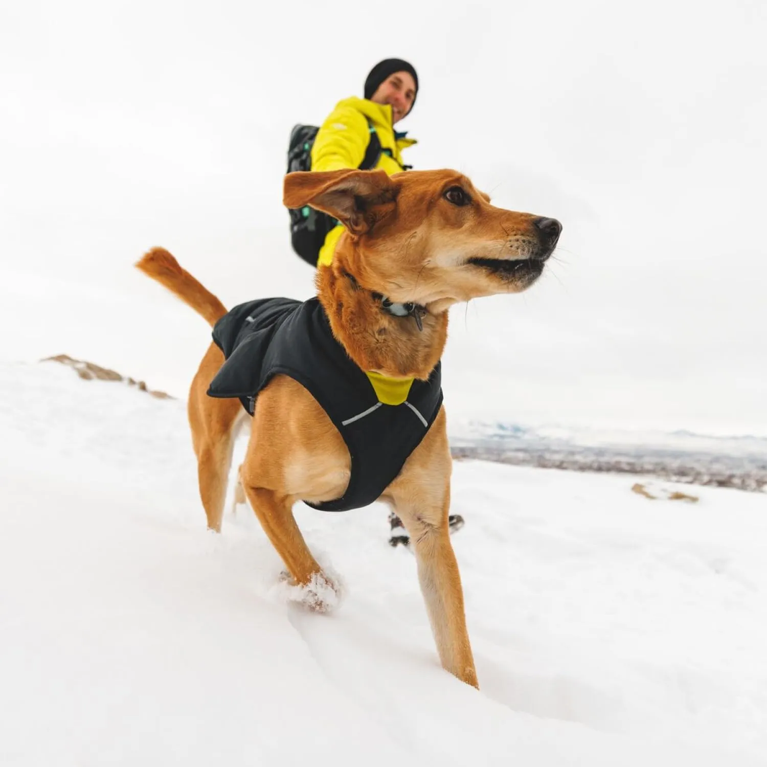 Ruffwear, Quinzee Jacket, Insulated and Water-Resistant Jacket for Dogs with Stuff Sack, Obsidian Black, Medium