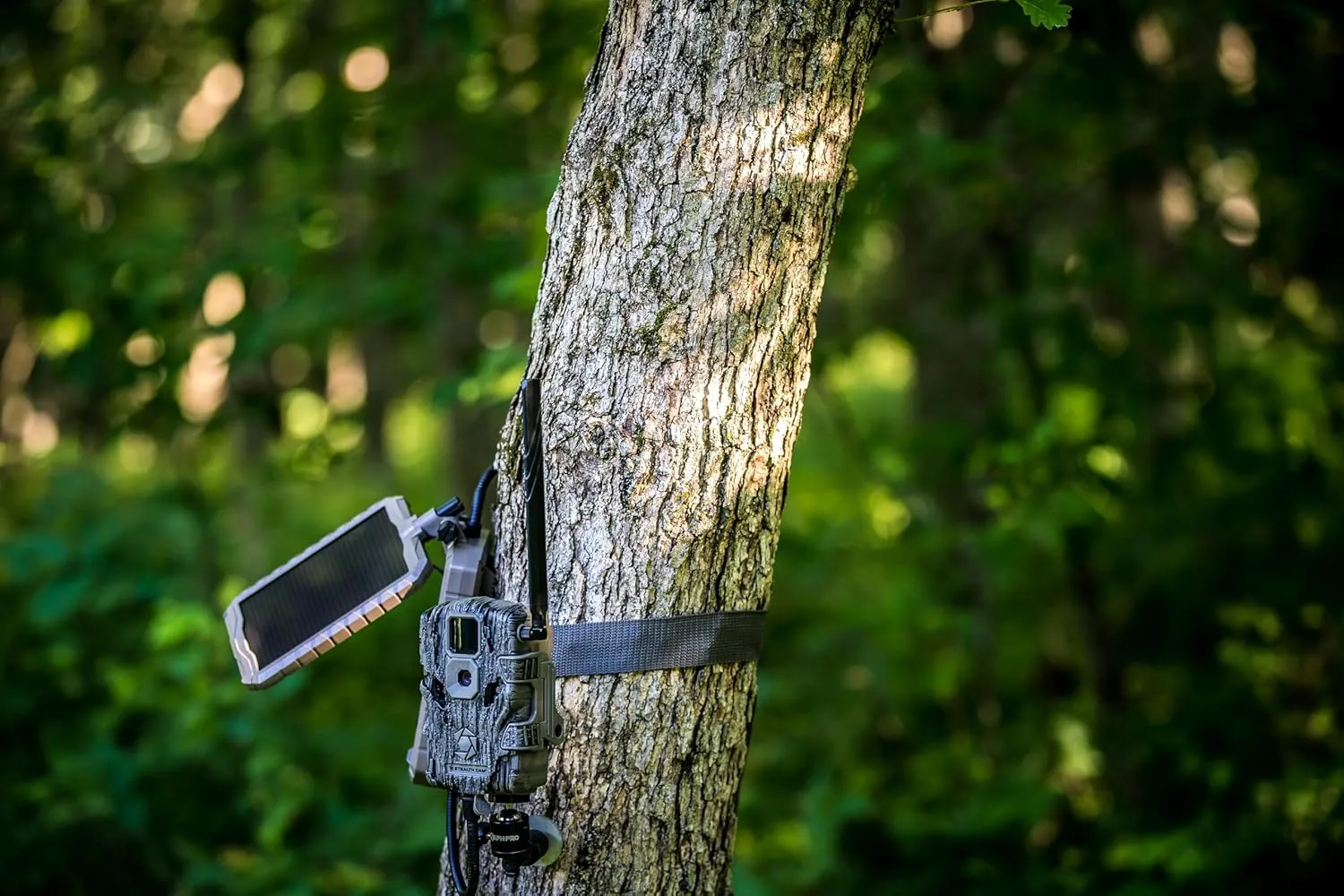 Stealth Cam Durable Sol-Pak Solar Battery Pack, 12V Solar Power Panel, Rechargeable Battery & 10ft Insulated Cable, Compatible with All Wireless/Cellular Trail Cameras - 3000 mAh