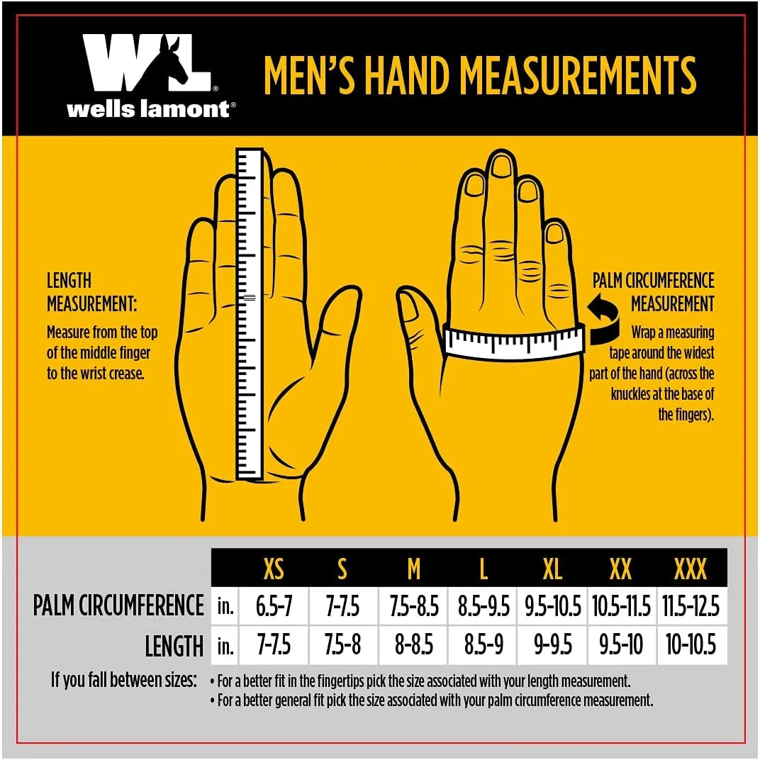 Wells Lamont Versatile Work Gloves | Lightweight, Durable, Comfortable Jersey | Basic, Large (506LZ) , Black, 12-Pair Bulk Pack