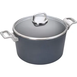 Woll Diamond Lite Pro Stock Pot with Lid - 3.2 qt